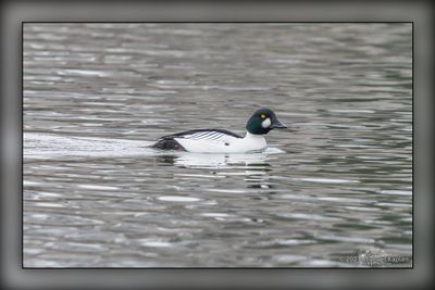 _MTK5037-Edit.jpg