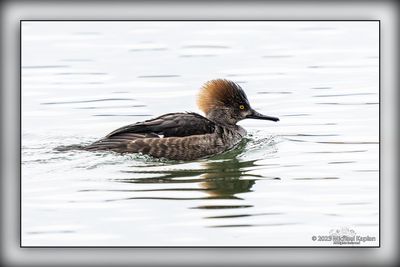_MTK5063-Edit.jpg