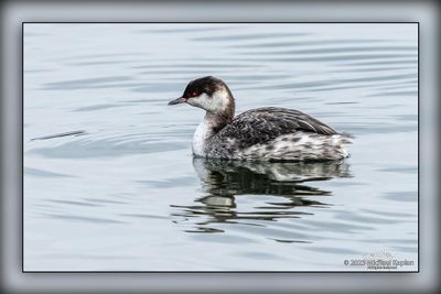 _MTK5090-Edit.jpg