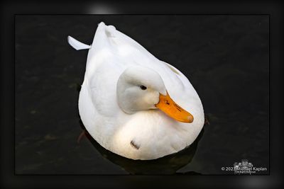 _MTK5135.jpg
