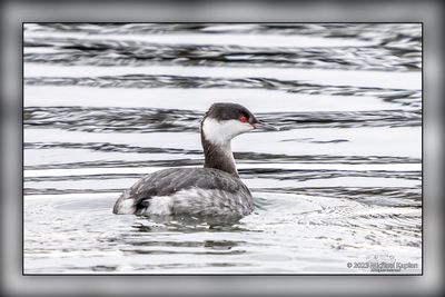 _MTK5189-Edit.jpg