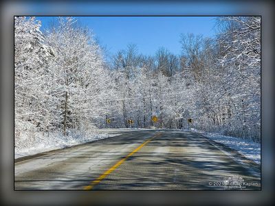 Milton Snow on Trees