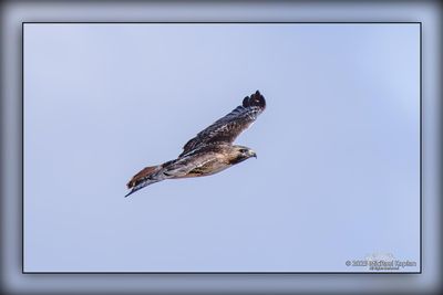 _MTK5371-Edit-Edit.jpg