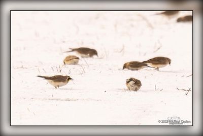 _MTK5386-Edit.jpg