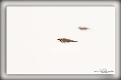 _MTK5410-Edit.jpg