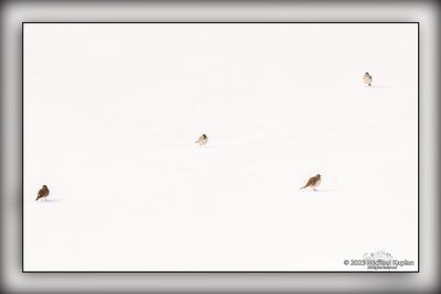 _MTK5432-Edit.jpg