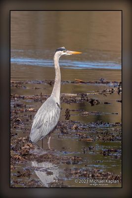 _MTK6021-Edit.jpg
