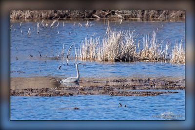 _MTK6130-Edit.jpg