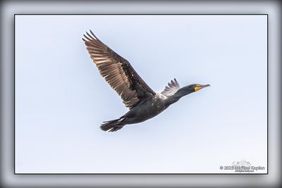 _MTK6691-Edit.jpg