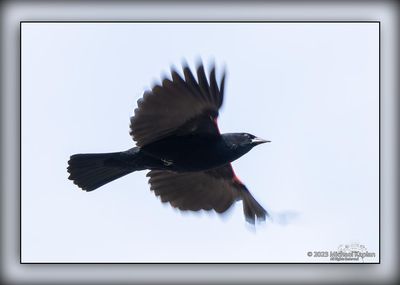 _MTK6754-Edit.jpg