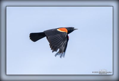 _MTK6755-Edit.jpg