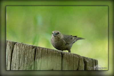 _MTK0473-Edit.jpg
