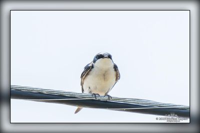 _MTK0660-Edit.jpg