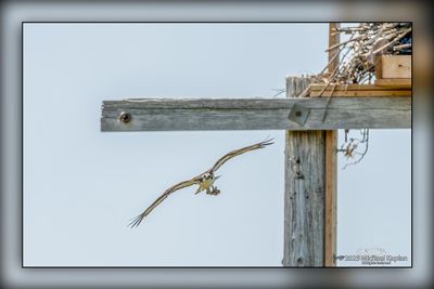 _MTK0671-Edit.jpg