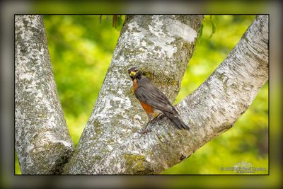 _MTK0733-Edit.jpg