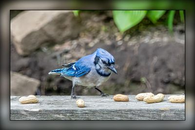 _MTK0879-Edit-2.jpg