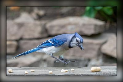 _MTK1209-Edit.jpg