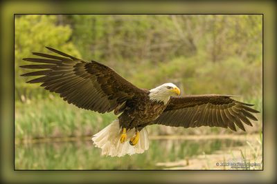 _MTK7976-Edit.jpg