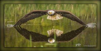 Canadian Raptor Conservancy