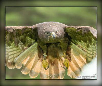 _MTK9561-Edit.jpg