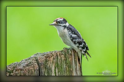 _MTK2614-Edit.jpg
