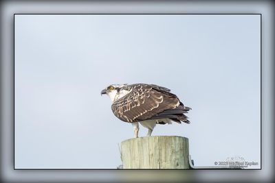 Cambridge Riverside Park & Haldimand ON