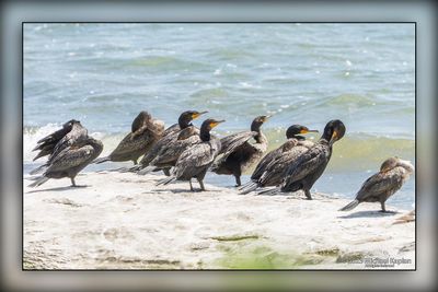 Cambridge Riverside Park & Haldimand ON