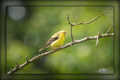 _MTK5164-Edit.jpg