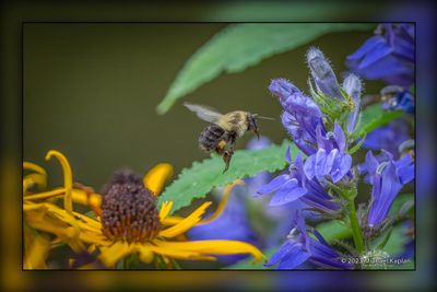 _MTK5274-Edit.jpg
