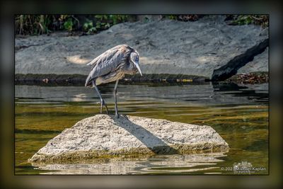 _MTK5321-Edit.jpg