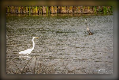_MTK5400-Edit.jpg