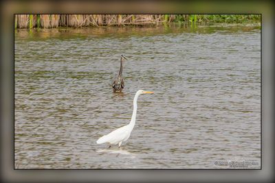 _MTK5403-Edit.jpg