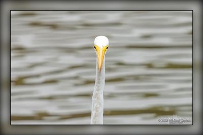 _MTK5553-Edit.jpg