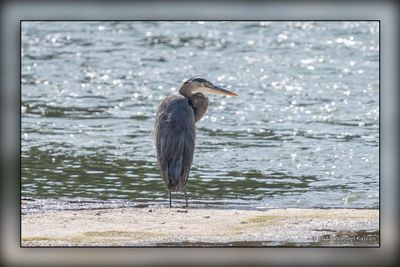 _MTK5732-Edit.jpg