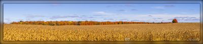 _MTK6003-Pano.jpg