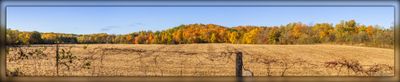 _MTK6009-Pano.jpg
