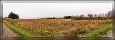 _MTK6017-Pano.jpg
