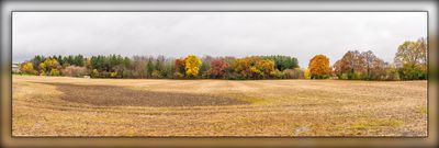 _MTK6046-Pano.jpg