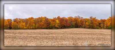 _MTK6048-Pano-Edit.jpg