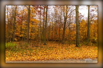 Brant Glen Morris Woolwich Valley Inn Fall Colours