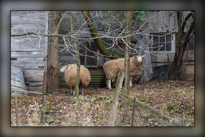 _MTK6057-Edit.jpg