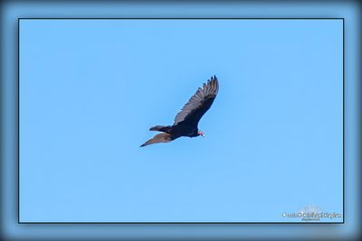 _MTK0020-Edit.jpg