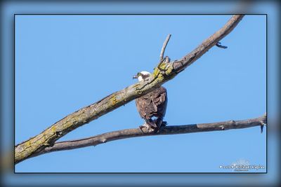 _MTK0032-Edit.jpg