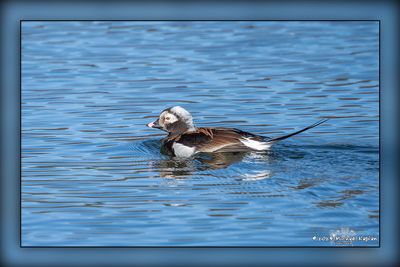 _MTK0046-Edit.jpg