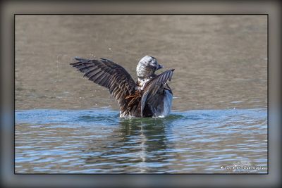 _MTK0113-Edit.jpg