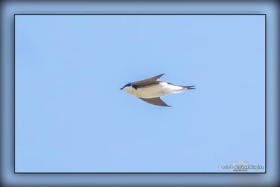 _MTK0432-Edit.jpg