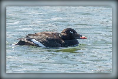 _MTK0455-Edit.jpg