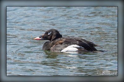 _MTK0469-Edit.jpg