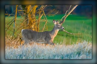 _MTK0373-Edit.jpg