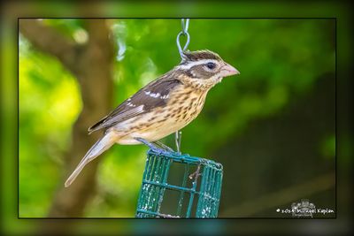 _MTK0819-Edit.jpg